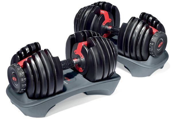 18 Comfortable Why are adjustable dumbbells so expensive for Workout Everyday